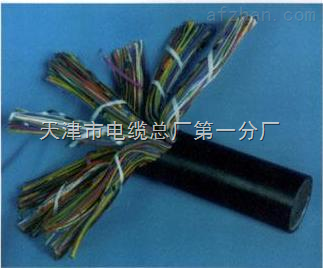 天津市電纜總廠第一分廠 專(zhuān)業(yè)打造礦用通信電纜，保障井下配線與用戶線路穩(wěn)定可靠